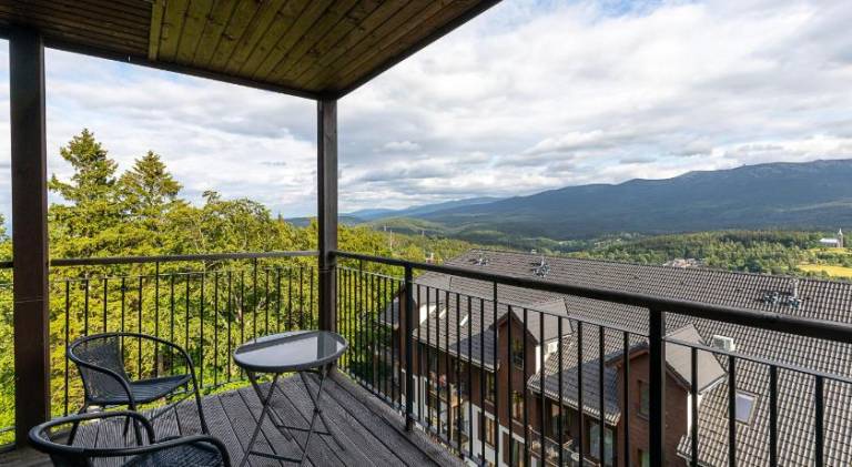 Rental apartment with terrace | Dogs allowed in Szklarska Poreba