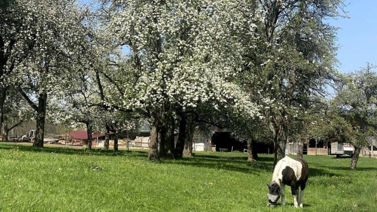Ferienwohnung Meßkirch