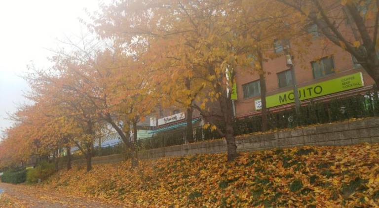 foto38