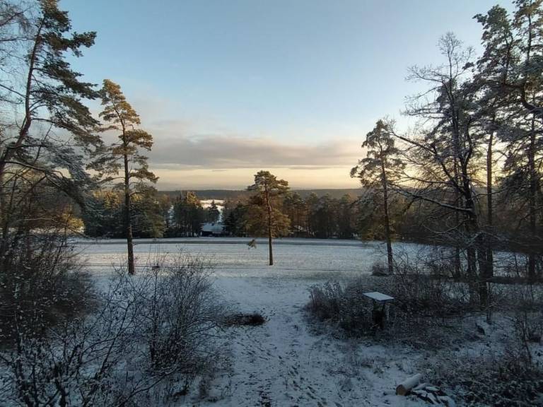 foto2