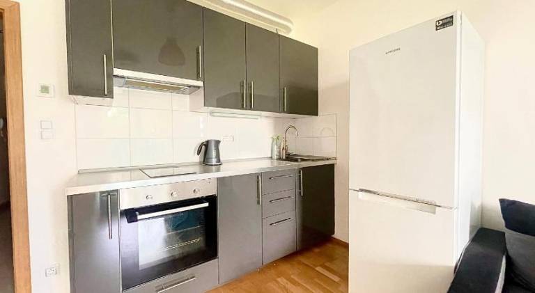 Apartment with garden — photo 4