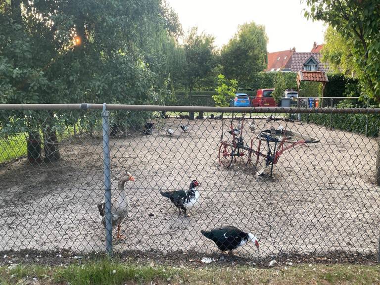 foto19