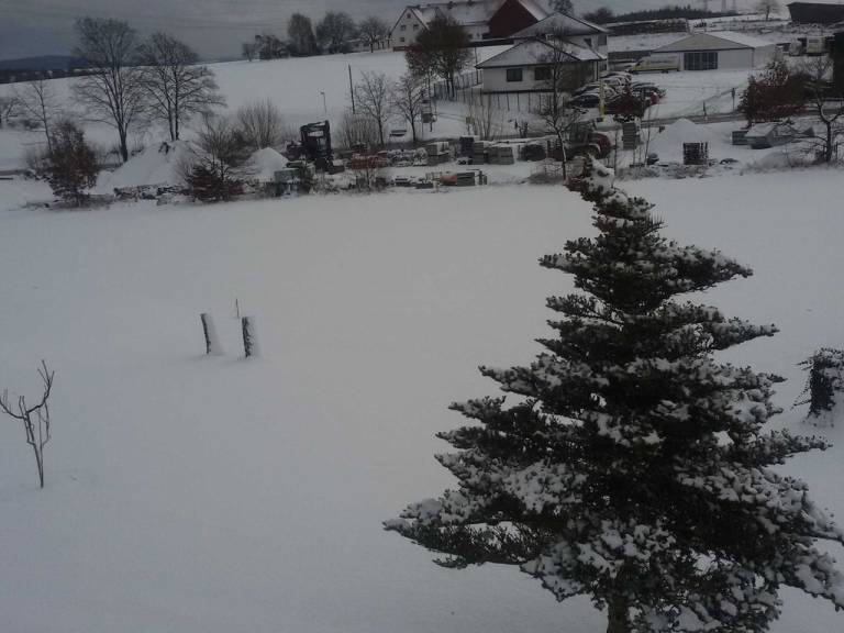 foto19