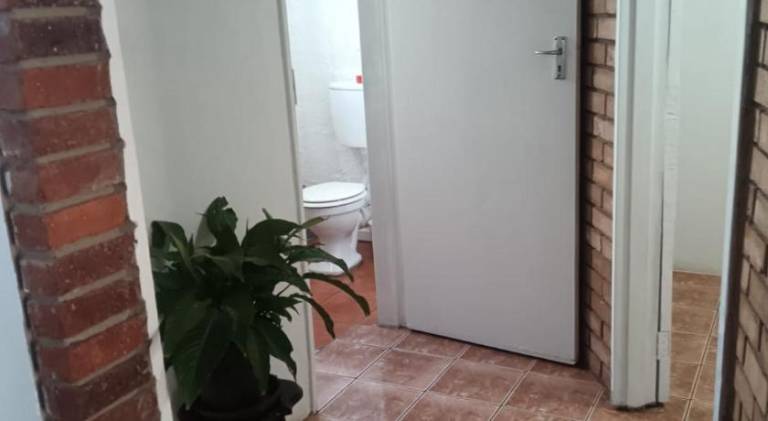 foto19