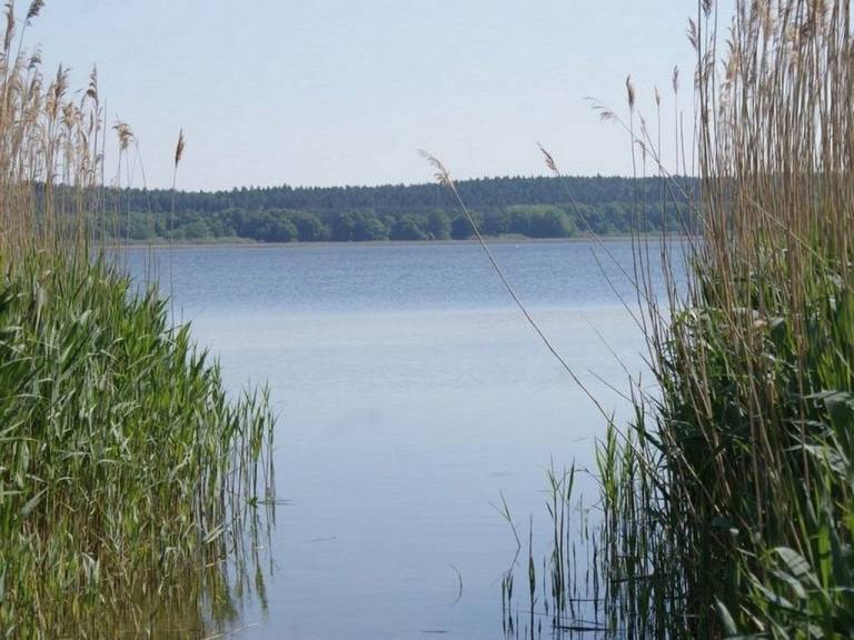 foto17