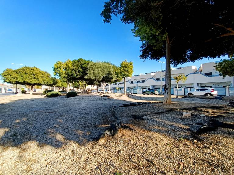 foto44