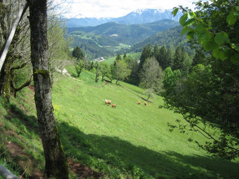 foto6