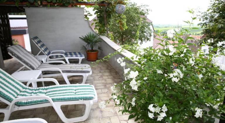 Pension Weinberg mit Landhaus Nizza — photo 3