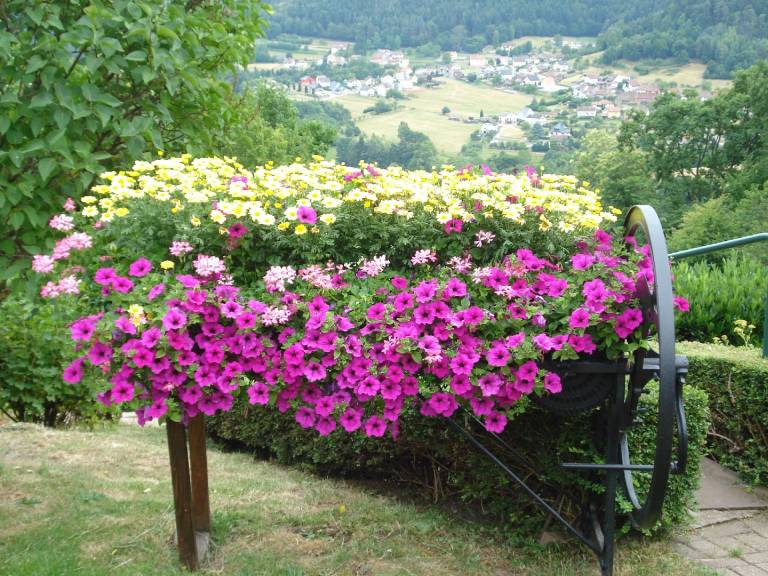 foto21