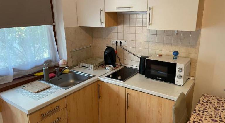 Apartment with patio, jacuzzi & garden — photo 3