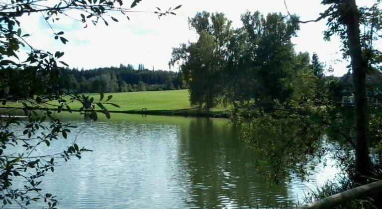 foto18