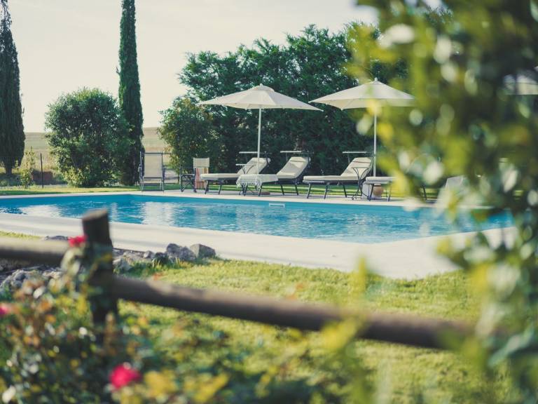 House with yard, patio & private pool — photo 4