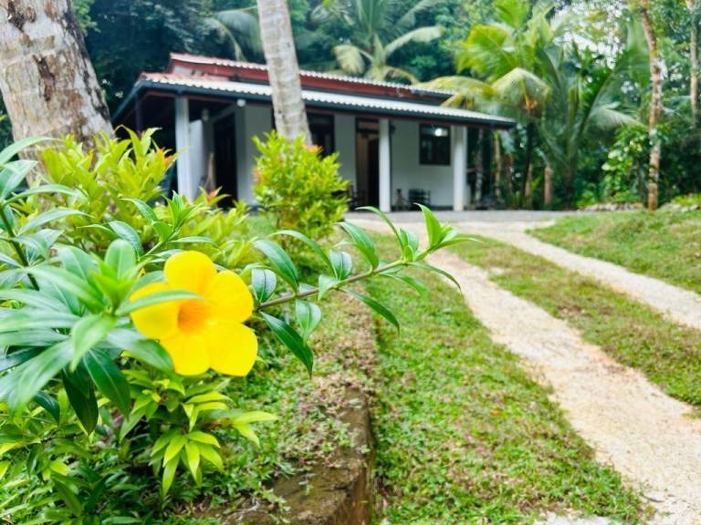 Beautiful house with yard | Perfect for remote work | Pets are welcome in Unawatuna