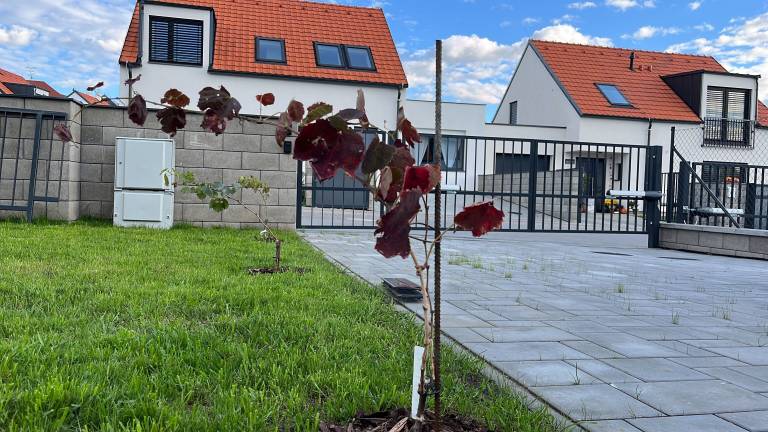 Apartament Mikulov
