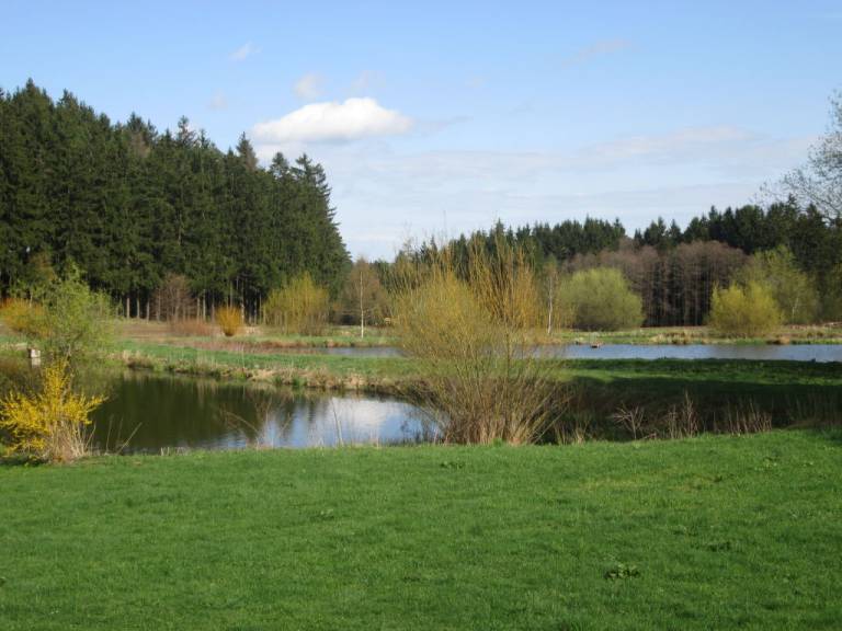 foto12