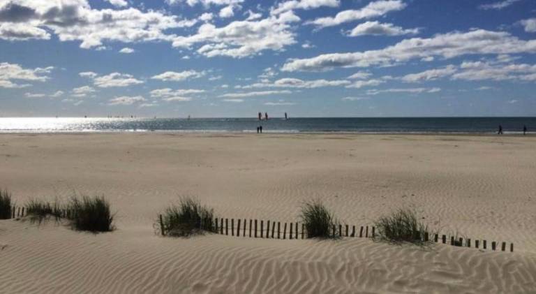 Pleasant apartment | Next to the beach | Pet-friendly in La Grande-Motte
