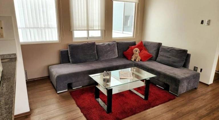 Pleasant holiday apartment | Pets allowed in Mexico City