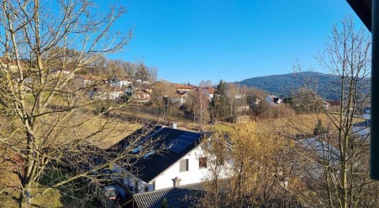 foto39