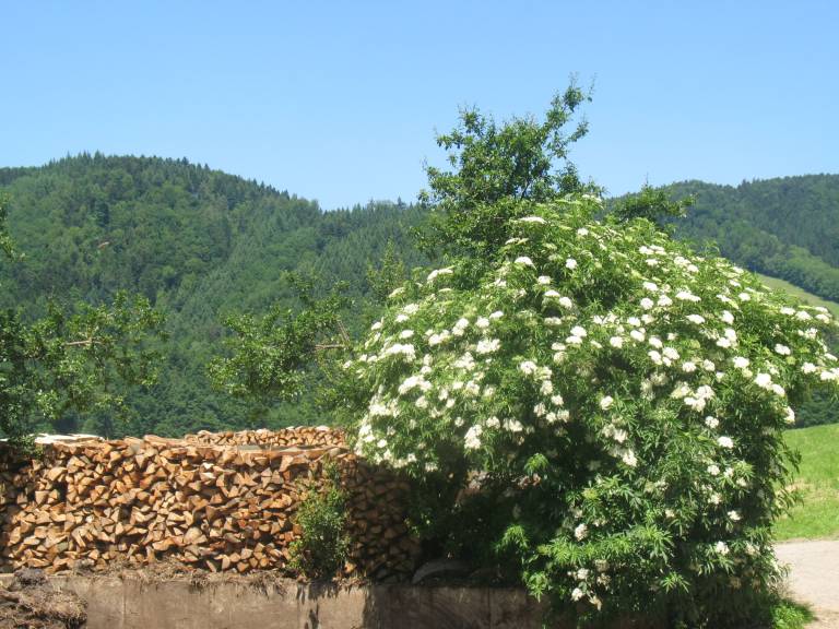 foto9