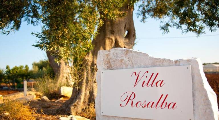 Big villa | Dogs allowed in Polignano a Mare