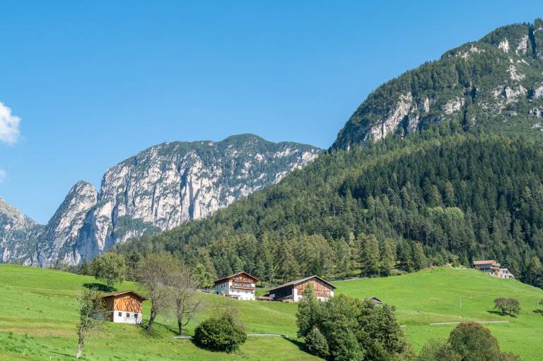 Holiday Apartment 'Mongaduierhof Apt Tschafon' with Mountain View, Shared Garden & Wi-Fi — photo 5