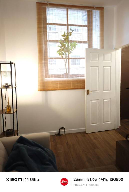 House | Pets are welcome in Dundee