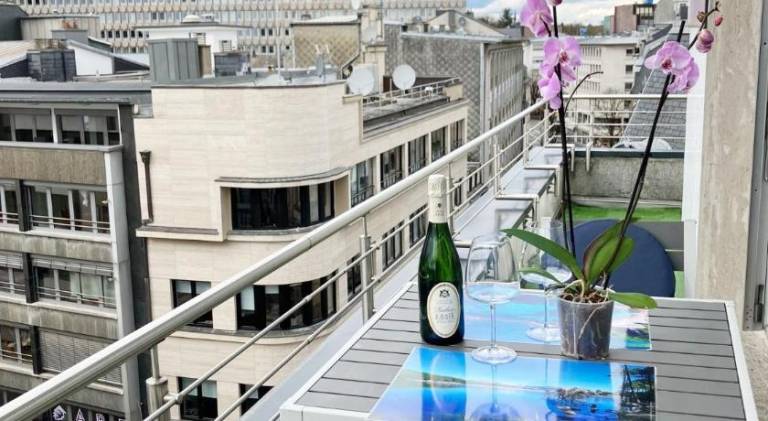 Unique Penthouse Joseph II von Habsburg 1-4 personnes a cote de Louis Vuitton — photo 3