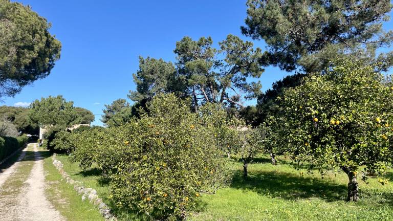 foto43