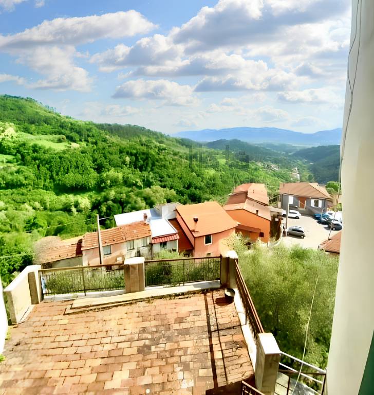 foto11