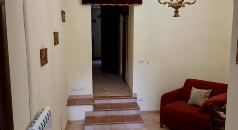 Apartment | Pet-friendly — photo 5