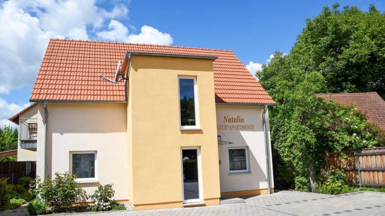 foto1
