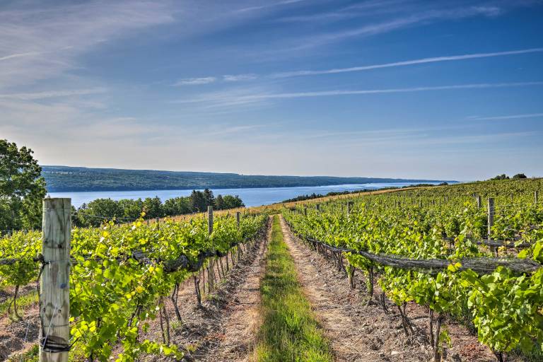 Finger Lakes Farm Retreat: Walk to Wineries! — photo 2