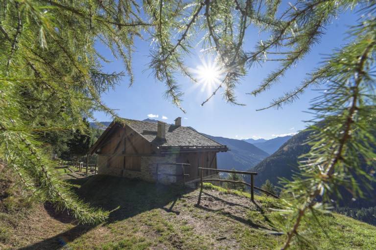 Family-friendly lovely chalet with BBQ & yard | Pet-friendly — photo 3
