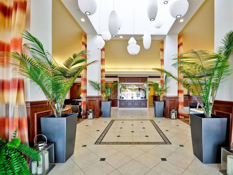 Hilton Garden Inn Tampa Northwest/Oldsmar — photo 3