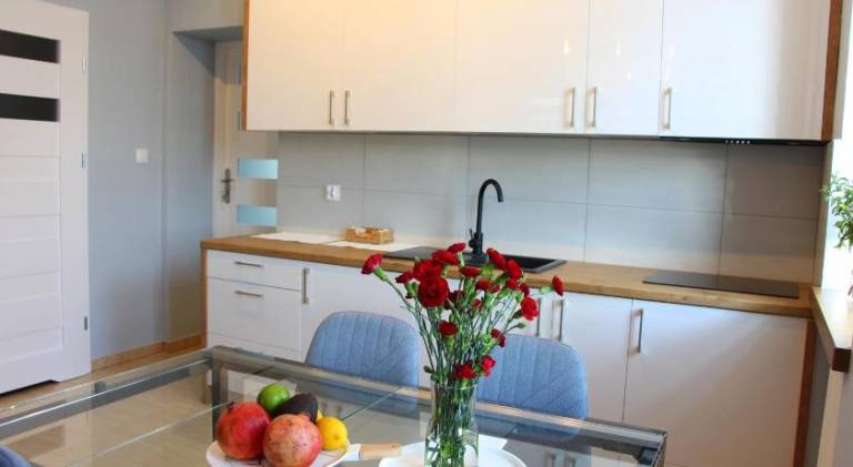 Apartament Nowe Guty