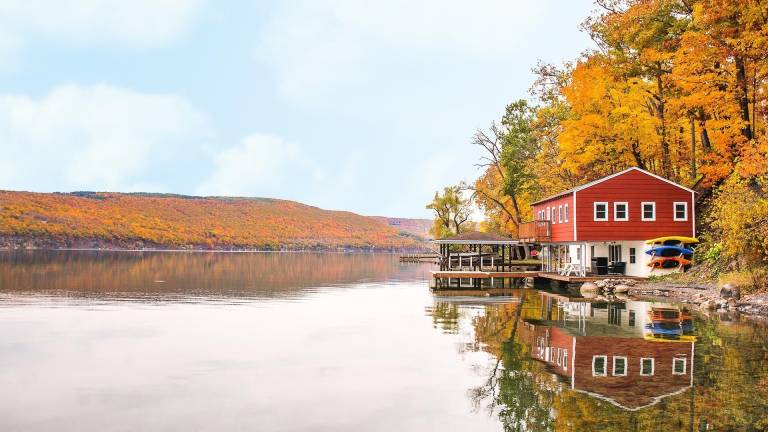 Cabin Canandaigua