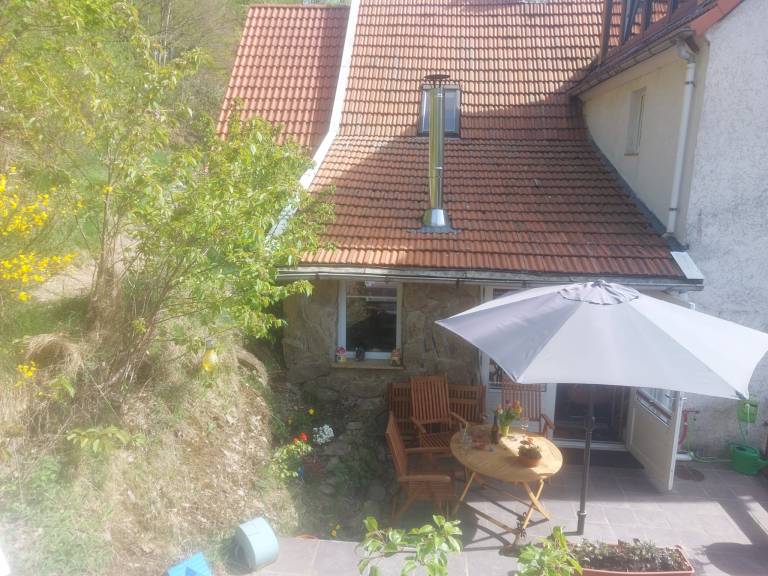 PacoHaus Willingen Diemelsee Wald Berg — photo 4
