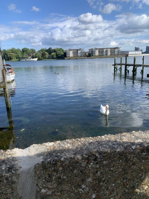 Stylish Victorian Cottage