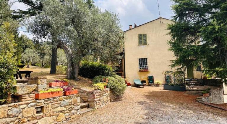 Holiday apartment with garden in Donoratico