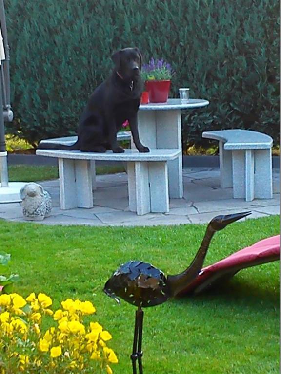 foto37