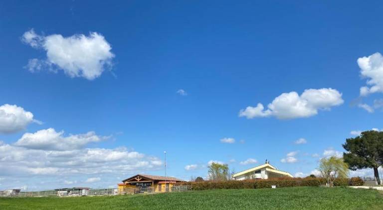 Charming farm with garden, barbecue & pool | Perfect for remote work | Pets allowed in Matera
