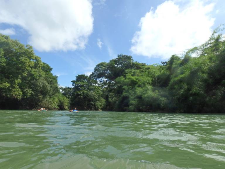Parrot Nest Lodge — photo 4
