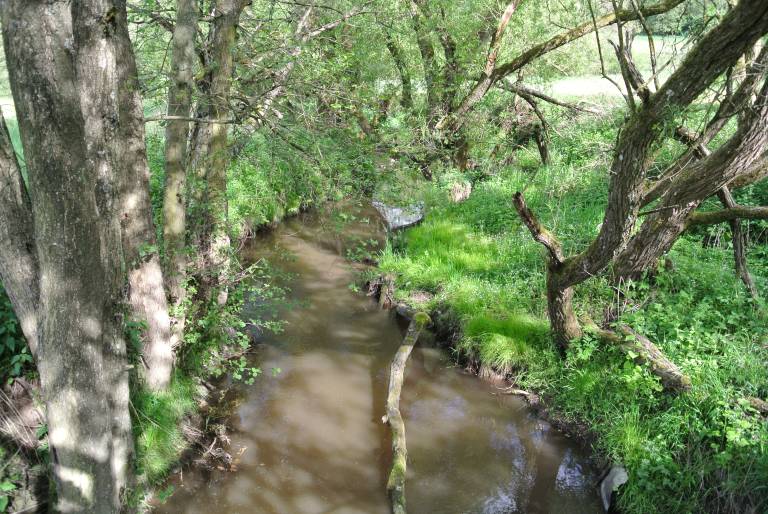 foto6