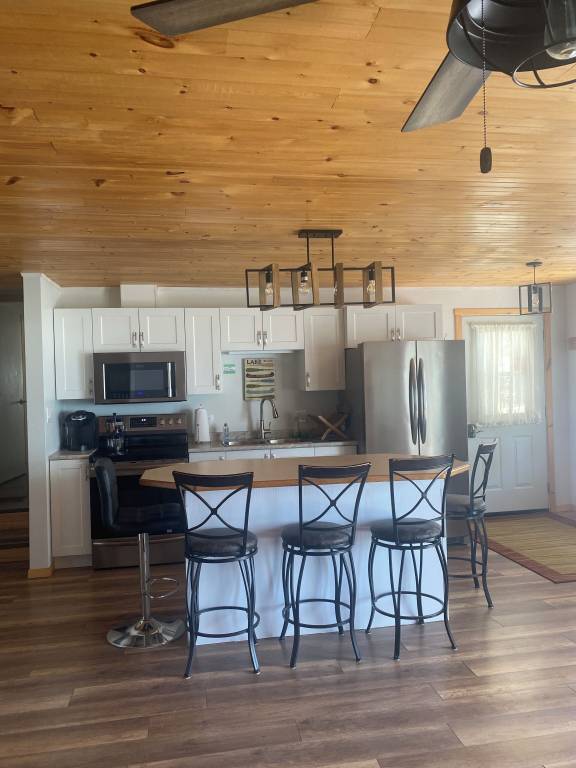 Cabin Pelee Island