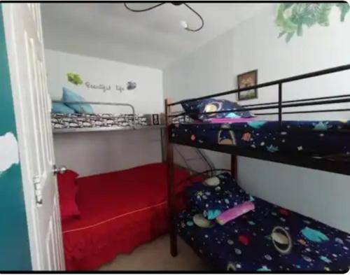 foto11
