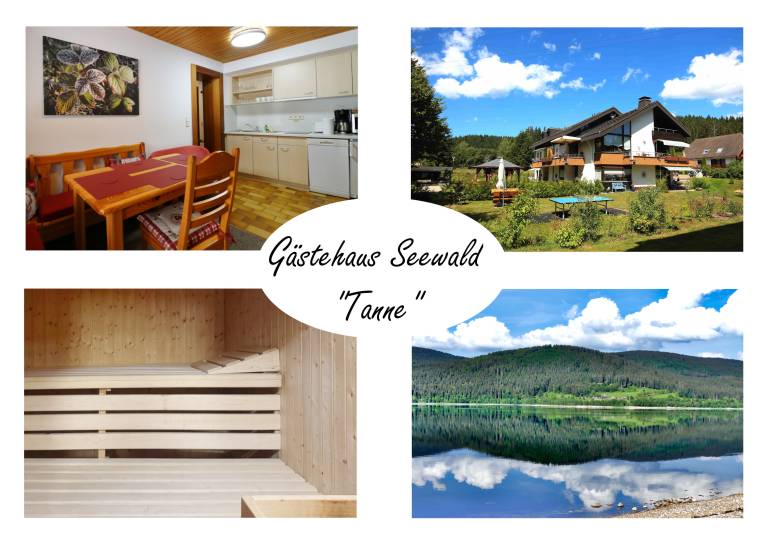 Appartement Schluchsee