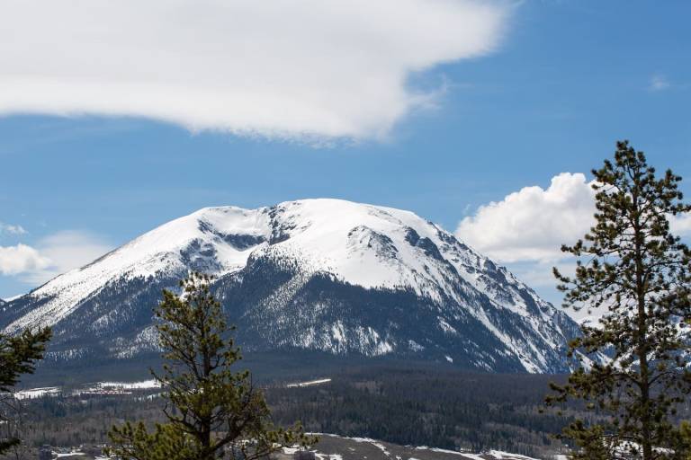 House Silverthorne