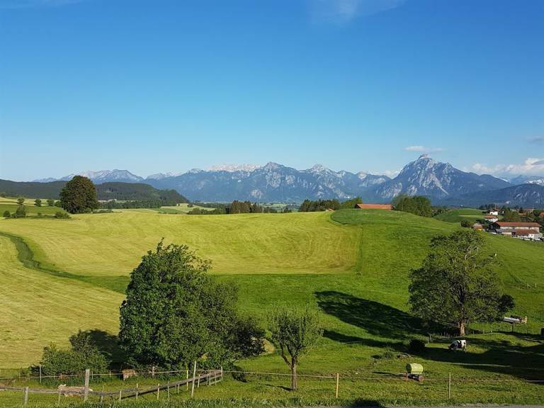 foto17
