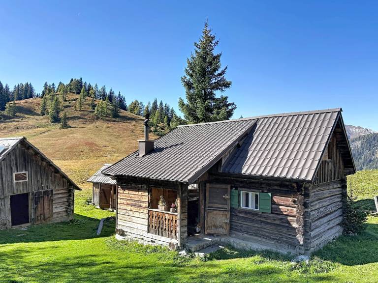 Ferienhaus in Gemeinde Wörschach, , Österreich