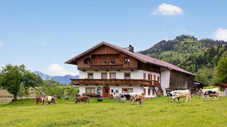 Ferienwohnung Walchsee